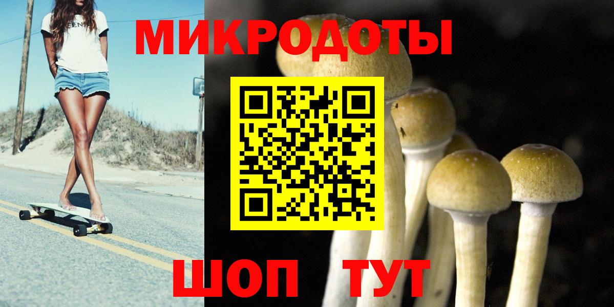 Псилоцибиновые грибы Cubensis Комсомольск-на-Амуре